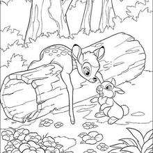 Bambi 48 - Coloring page - DISNEY coloring pages - BAMBI coloring pages