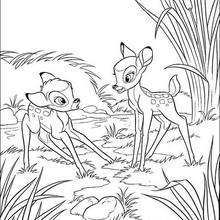 Bambi 50 - Coloring page - DISNEY coloring pages - BAMBI coloring pages