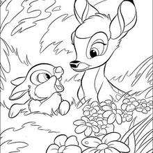 Bambi 55 - Coloring page - DISNEY coloring pages - BAMBI coloring pages