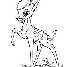 Bambi 62 - Coloring page - DISNEY coloring pages - BAMBI coloring pages