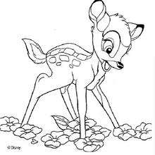 Bambi 67 - Coloring page - DISNEY coloring pages - BAMBI coloring pages