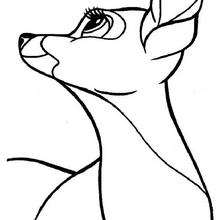 Bambi 77 - Coloring page - DISNEY coloring pages - BAMBI coloring pages