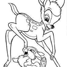 Bambi 82 - Coloring page - DISNEY coloring pages - BAMBI coloring pages