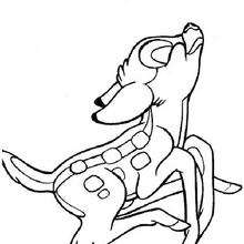 Bambi 85 - Coloring page - DISNEY coloring pages - BAMBI coloring pages
