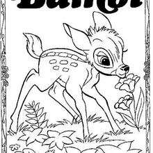 Bambi 60 - Coloring page - DISNEY coloring pages - BAMBI coloring pages