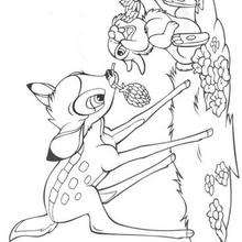 Bambi 59 - Coloring page - DISNEY coloring pages - BAMBI coloring pages