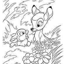 Bambi 58 - Coloring page - DISNEY coloring pages - BAMBI coloring pages