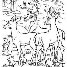 Bambi 46 - Coloring page - DISNEY coloring pages - BAMBI coloring pages