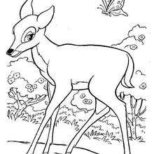 Bambi 37 - Coloring page - DISNEY coloring pages - BAMBI coloring pages