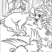 Tramp hunting hens coloring page