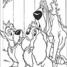 Lady, Jock and Trusty - Coloring page - DISNEY coloring pages - Lady and the Tramp coloring book pages