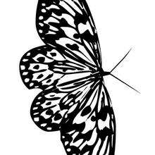 Beautiful butterfly coloring page - Coloring page - ANIMAL coloring pages - INSECT coloring pages - BUTTERFLY coloring pages