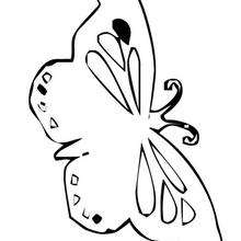 Butterfly coloring paper - Coloring page - ANIMAL coloring pages - INSECT coloring pages - BUTTERFLY coloring pages