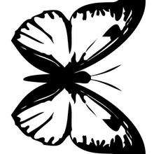 White and Black Butterfly coloring page