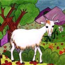 Goat - Drawing for kids - KIDS drawings - ANIMAL drawings for kids - FARM ANIMAL drawings - GOAT