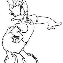 Daisy Duck - Coloring page - DISNEY coloring pages - Donald Duck coloring pages