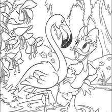 Daisy Duck with a flamingo coloring page