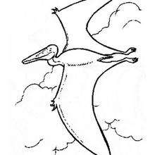 Flying prehistoric bird coloring page - Coloring page - ANIMAL coloring pages - DINOSAUR coloring pages - Flying reptiles and Pterodactylus coloring pages