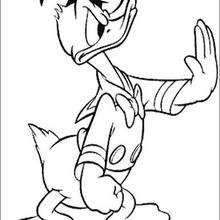 Donald Duck  - Coloring page - DISNEY coloring pages - Donald Duck coloring pages