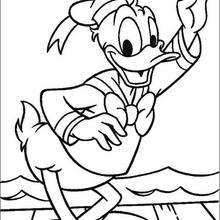 Donald Duck 3 - Coloring page - DISNEY coloring pages - Donald Duck coloring pages