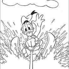 Donald Duck doing water-skiing - Coloring page - DISNEY coloring pages - Donald Duck coloring pages