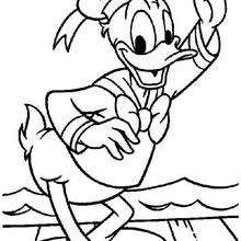 Donald Duck saying hello - Coloring page - DISNEY coloring pages - Donald Duck coloring pages