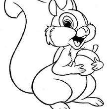 Squirrel 2 - Coloring page - DISNEY coloring pages - BAMBI coloring pages