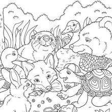 Franklin with his friends coloring page