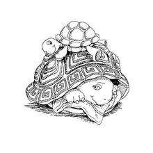 Harriet Turtle with Mom coloring page - Coloring page - CHARACTERS coloring pages - CARTOON CHARACTERS Coloring Pages - FRANKLIN coloring pages - HARRIET TURTLE coloring page