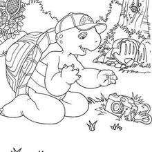 Franklin with camera - Coloring page - CHARACTERS coloring pages - CARTOON CHARACTERS Coloring Pages - FRANKLIN coloring pages - FRANKLIN to color