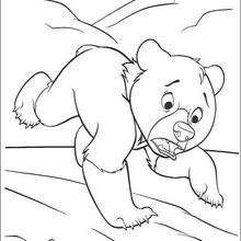 Brother Bear 28 - Coloring page - DISNEY coloring pages - Brother Bear coloring book pages