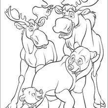 Brother Bear  5 - Coloring page - DISNEY coloring pages - Brother Bear coloring book pages