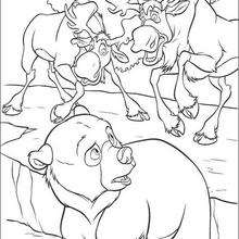 Brother Bear  6 - Coloring page - DISNEY coloring pages - Brother Bear coloring book pages