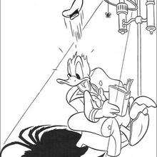 Donald Duck frighten by the spider - Coloring page - DISNEY coloring pages - Donald Duck coloring pages