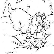 Jock with a bone - Coloring page - DISNEY coloring pages - Lady and the Tramp coloring book pages