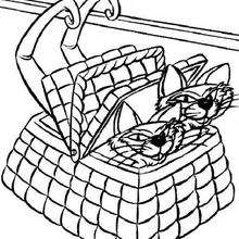 Si and Am, the Siamese cats coloring page