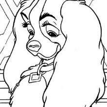 Lady with the collar - Coloring page - DISNEY coloring pages - Lady and the Tramp coloring book pages
