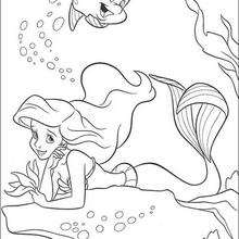 coloring pages of ariel and flounder