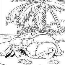 Pluto with the turtle - Coloring page - DISNEY coloring pages - Mickey Mouse coloring pages
