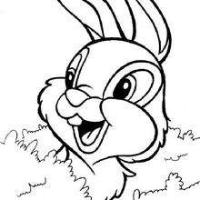 Thumper  1 - Coloring page - DISNEY coloring pages - BAMBI coloring pages
