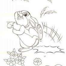 Thumper  6 - Coloring page - DISNEY coloring pages - BAMBI coloring pages