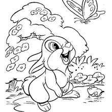 Thumper  7 - Coloring page - DISNEY coloring pages - BAMBI coloring pages