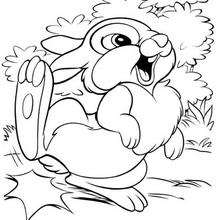 Thumper  8 - Coloring page - DISNEY coloring pages - BAMBI coloring pages