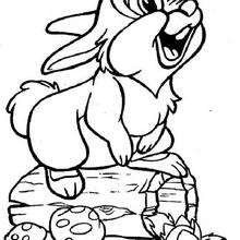 Thumper  9 - Coloring page - DISNEY coloring pages - BAMBI coloring pages