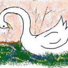 Swan - Drawing for kids - KIDS drawings - ANIMAL drawings for kids - BIRD drawings