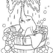 Dumbo's bath coloring page
