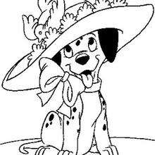 Dalmatian puppy with a hat coloring page