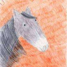 Horse drawing