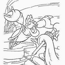 Sebastian, the crab - Coloring page - DISNEY coloring pages - The Little Mermaid coloring pages