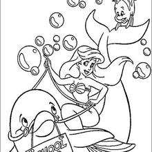 The Dolphin - Coloring page - DISNEY coloring pages - The Little Mermaid coloring pages